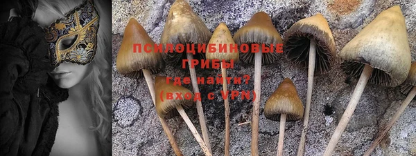 ПСИЛОЦИБИНОВЫЕ ГРИБЫ Курчалой