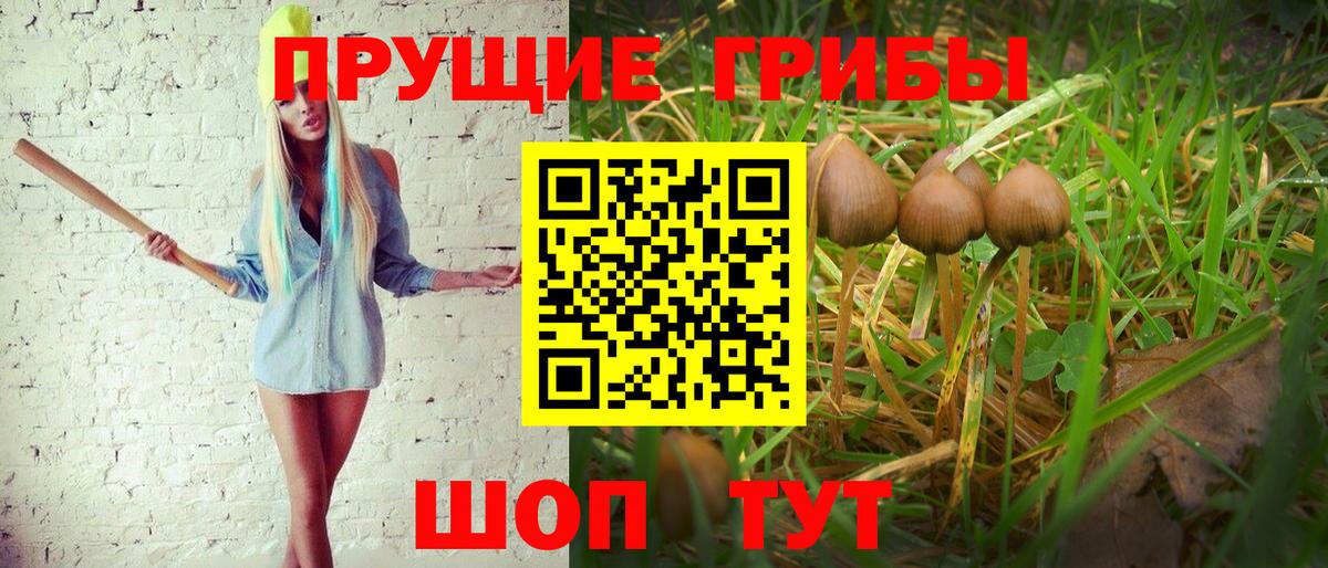 Галлюциногенные грибы Cubensis  Электросталь 