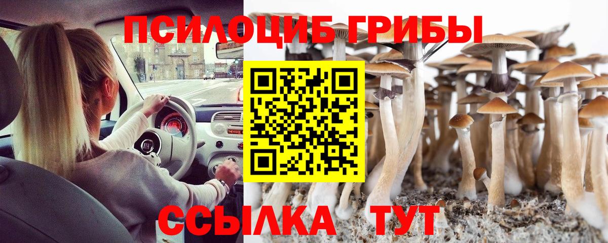 Галлюциногенные грибы мухоморы Электросталь